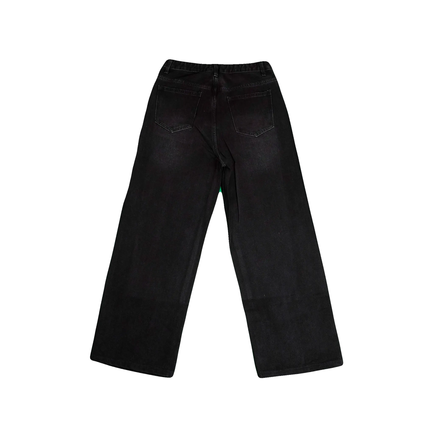 black swallow